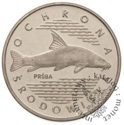 100 złotych - brzanna